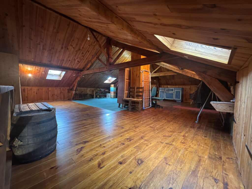 WhatsApp Image 2026-03-25 at 13.05.03 (3)