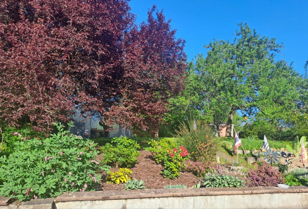 WhatsApp Image 2026-04-11 at 14.18.17 (3)