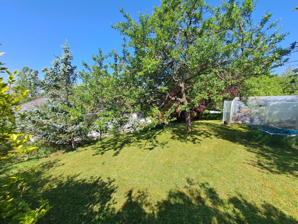 WhatsApp Image 2026-04-11 at 14.18.17 (4)