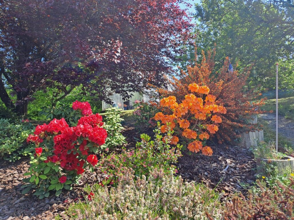 WhatsApp Image 2026-04-11 at 14.18.17 (7)