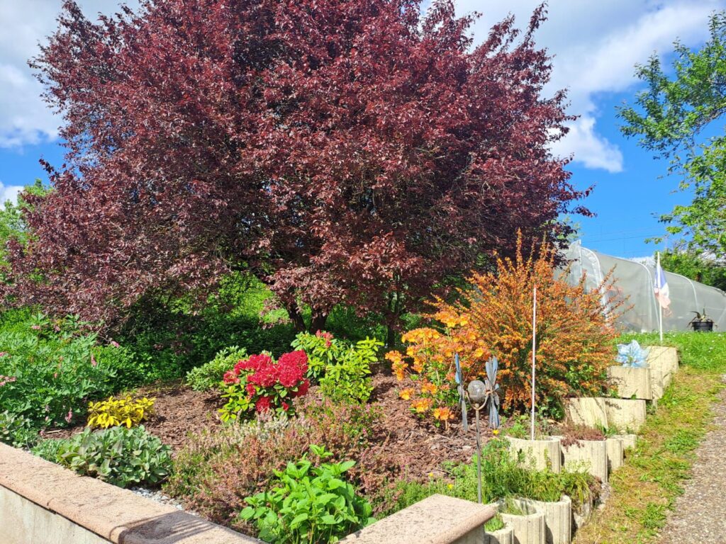 WhatsApp Image 2026-04-11 at 14.18.18 (1)