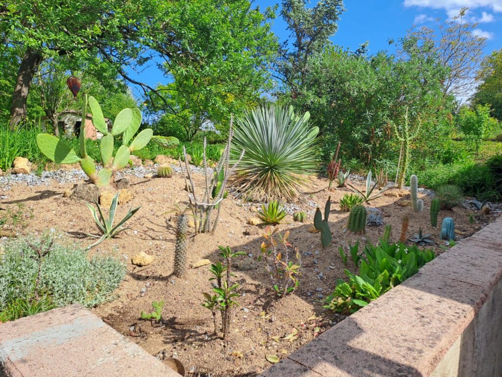 WhatsApp Image 2026-04-11 at 14.18.18